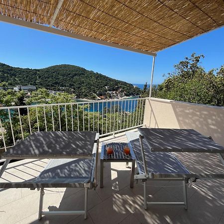 Studio Apartment Dubrovnik Eksteriør bilde
